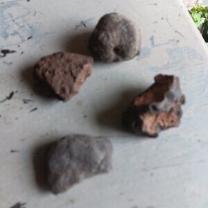 Iron Meteorite Texas Specimen Natural Patina Authentic